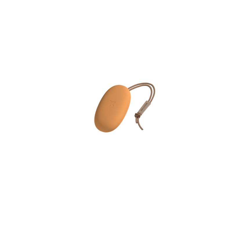 toCHARGEMiniSunnyOrangePerspective_202102041439471000 toCHARGEMiniSunnyOrangePerspective_202102041439471000